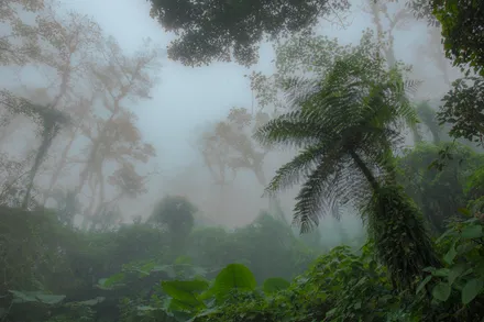 Day 06: Monteverde Cloud Forest