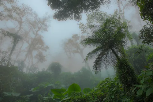 Highlands Volcanoes and Tropical Beaches