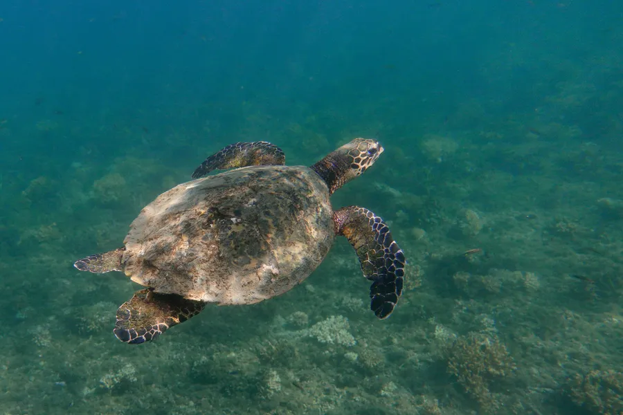 Highlands Volcanoes and Tropical Beaches
