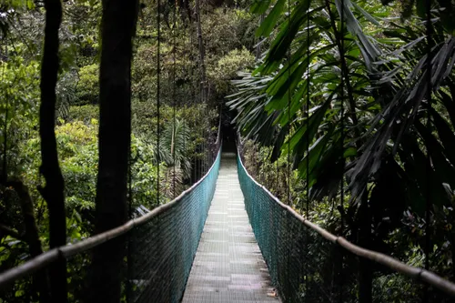 Highlands Volcanoes and Tropical Beaches