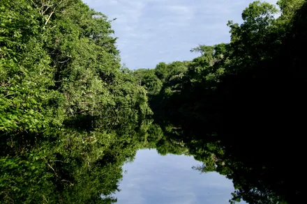 Day 04: Tortuguero National Park