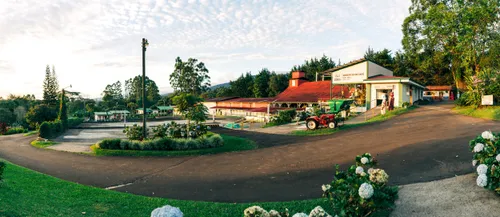 Volcanos & National Parks
