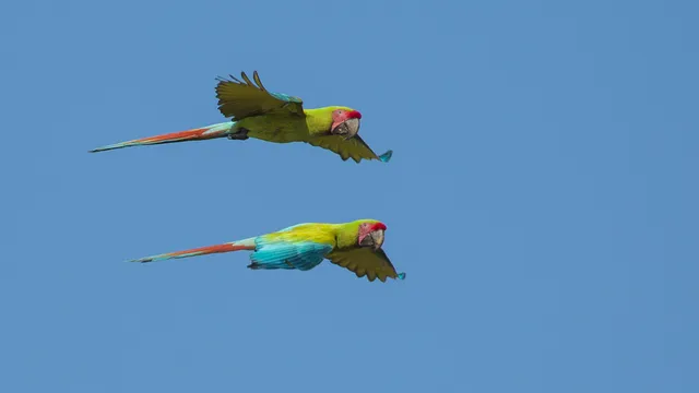 Multi Sport Eco Adventure Costa Rica