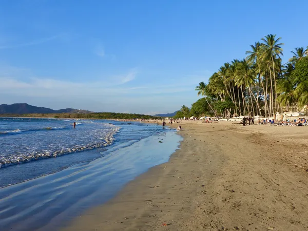 Tamarindo