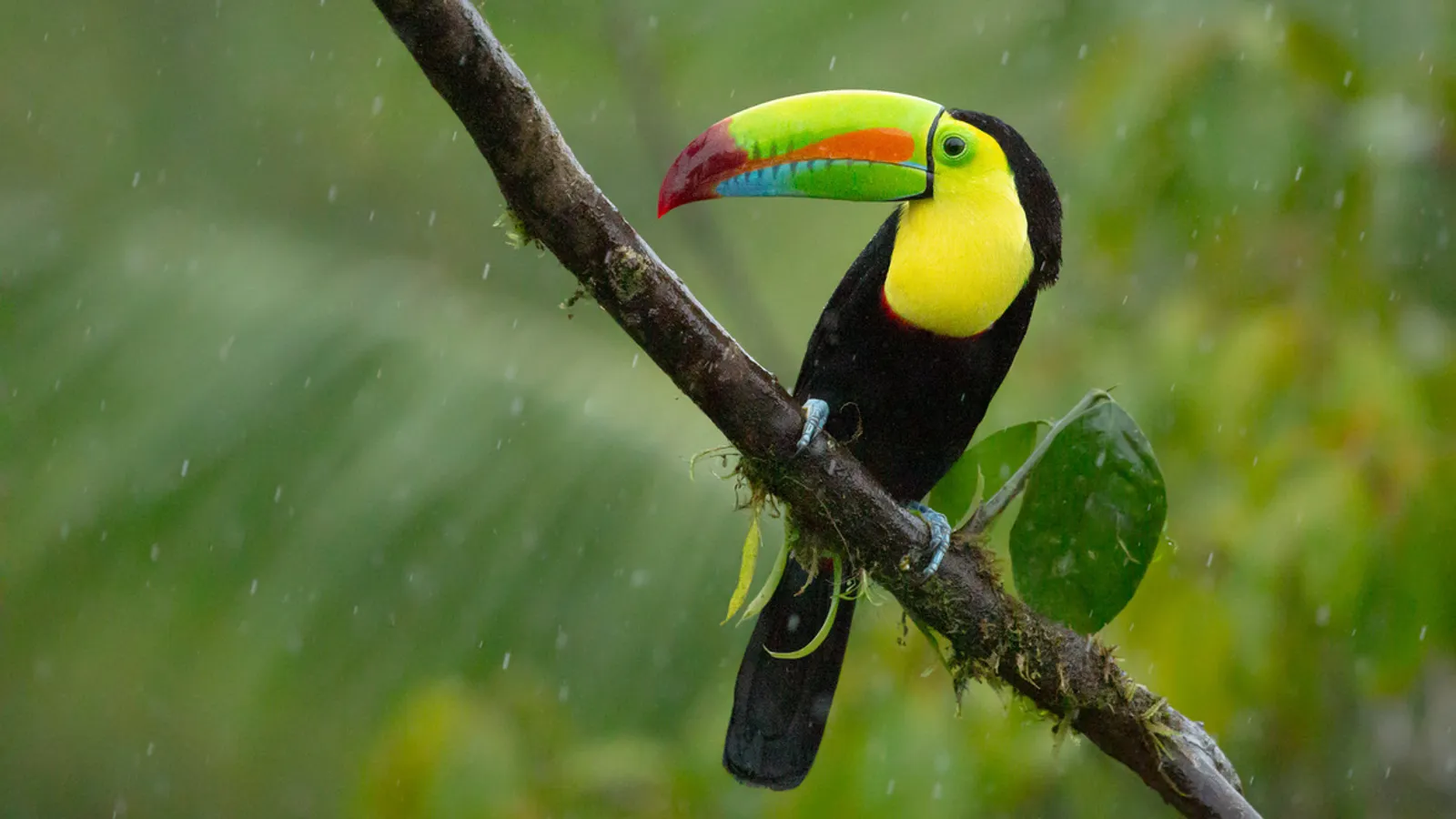 Costa Rica