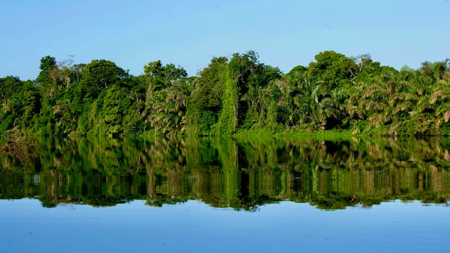 Tortuguero