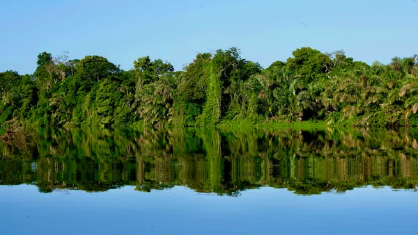Tortuguero